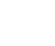 Web Player